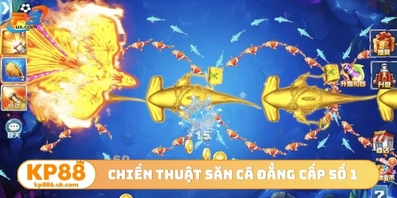 Chiến thuật săn cá đẳng cấp số 1
